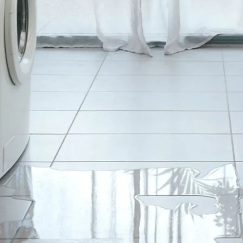 Appliance Leak Cleanup in Northampton County, VA