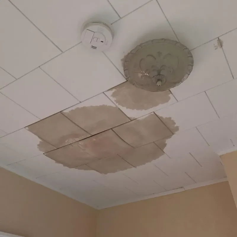 Ceiling Water Damage Repair in Northampton County, VA