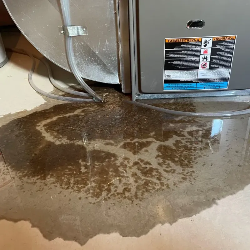 Pipe Burst and Leak Restoration in Northampton County, VA
