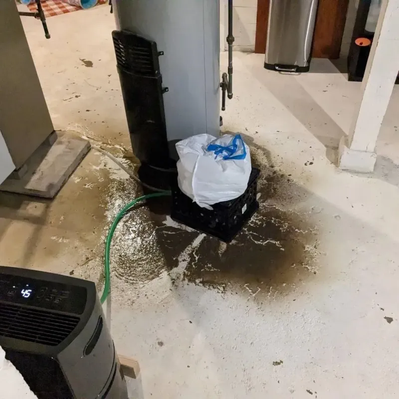 Sewage Backup Cleanup Service in Northampton County, VA